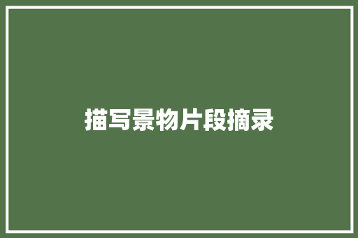 描写景物片段摘录 简历模板