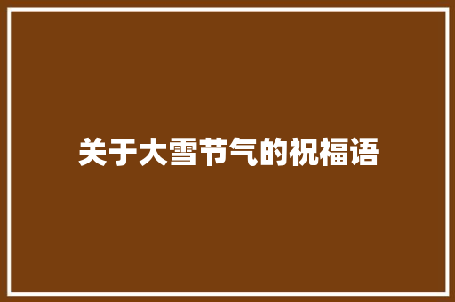 关于大雪节气的祝福语 报告写作