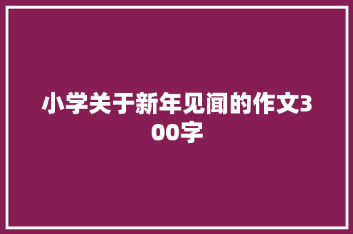 小学关于新年见闻的作文300字 简历模板