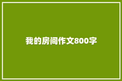 我的房间作文800字 商业文案