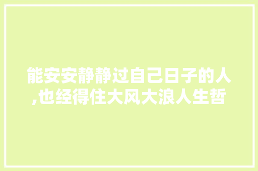 能安安静静过自己日子的人,也经得住大风大浪人生哲理 写作素材