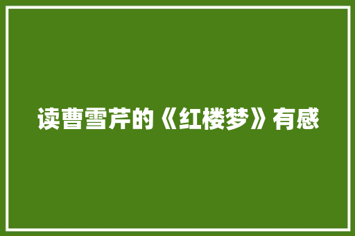 读曹雪芹的《红楼梦》有感 商业文案