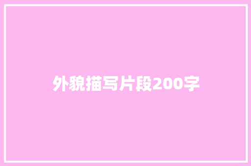 外貌描写片段200字