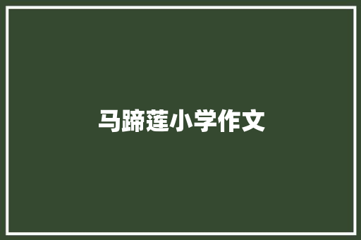 马蹄莲小学作文