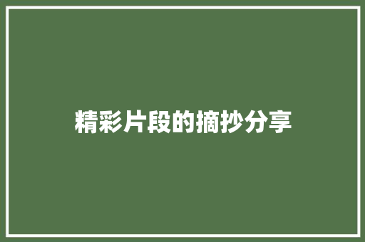 精彩片段的摘抄分享