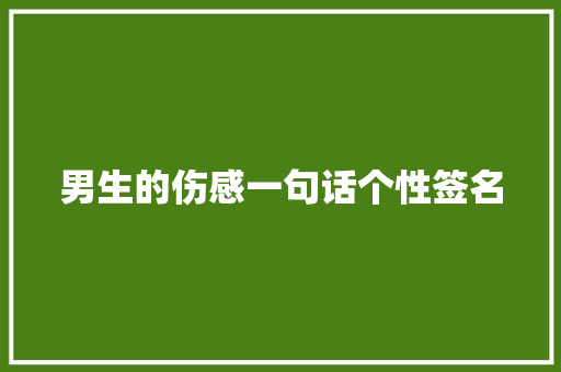 男生的伤感一句话个性签名 简历模板