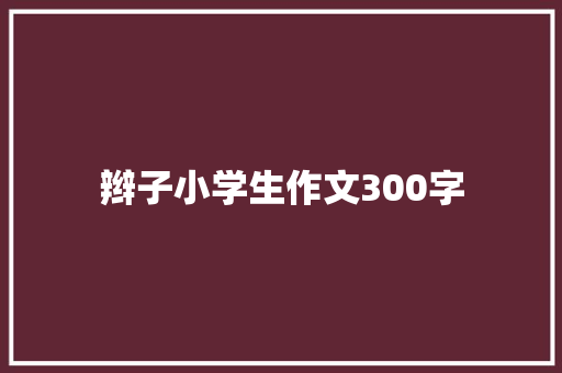 辫子小学生作文300字 写作素材