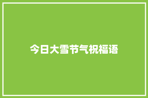 今日大雪节气祝福语 词汇积累