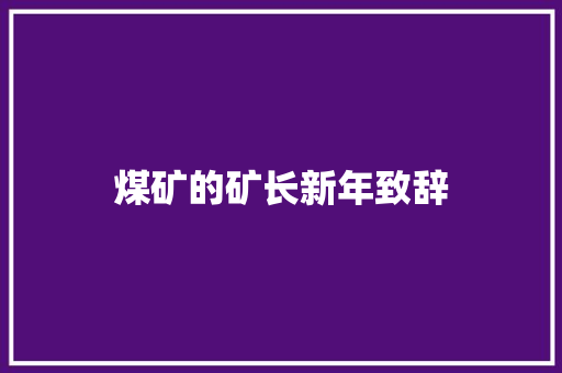 煤矿的矿长新年致辞 词汇积累