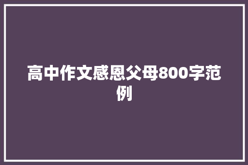 高中作文感恩父母800字范例 词汇积累