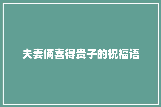 夫妻俩喜得贵子的祝福语 简历模板