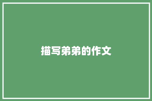 描写弟弟的作文 简历模板