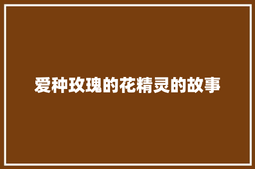 爱种玫瑰的花精灵的故事 写作素材
