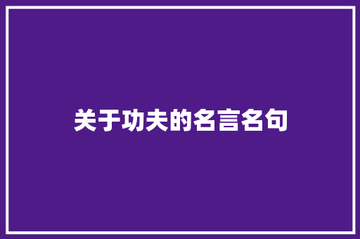 关于功夫的名言名句 写作技巧