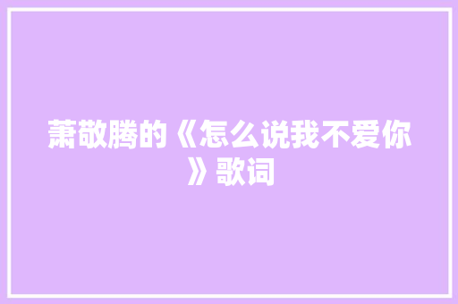 萧敬腾的《怎么说我不爱你》歌词 报告写作