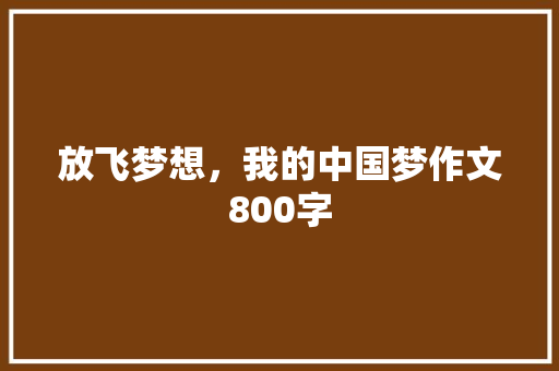 放飞梦想，我的中国梦作文800字 简历模板