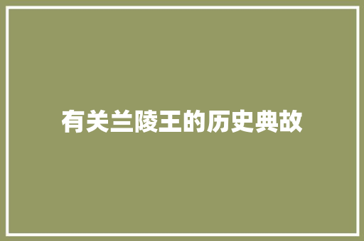 有关兰陵王的历史典故 商业文案