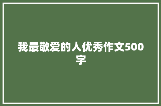 我最敬爱的人优秀作文500字