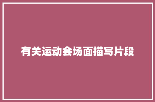 有关运动会场面描写片段 简历模板