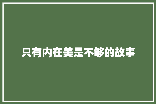 只有内在美是不够的故事 报告写作