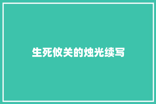 生死攸关的烛光续写 简历模板