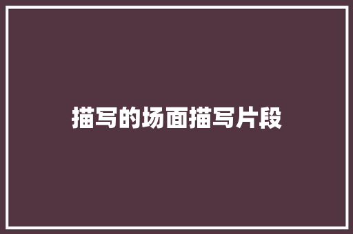 描写的场面描写片段 报告写作