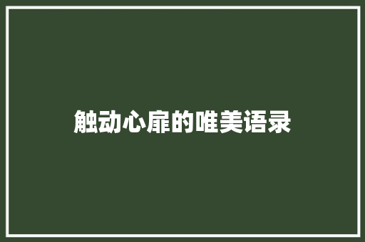 触动心扉的唯美语录 词汇积累