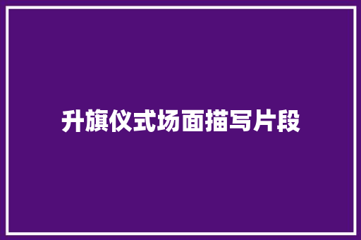 升旗仪式场面描写片段 简历模板
