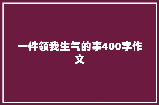 一件领我生气的事400字作文 词汇积累