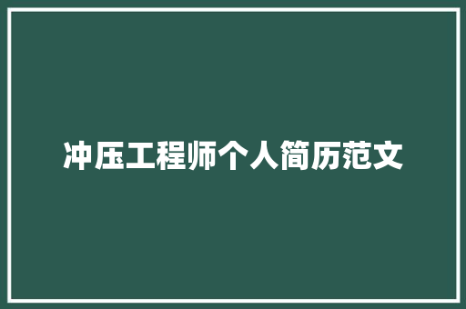 冲压工程师个人简历范文 简历模板