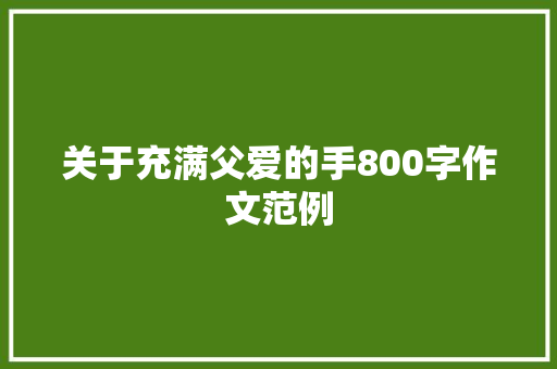 关于充满父爱的手800字作文范例 范文赏析
