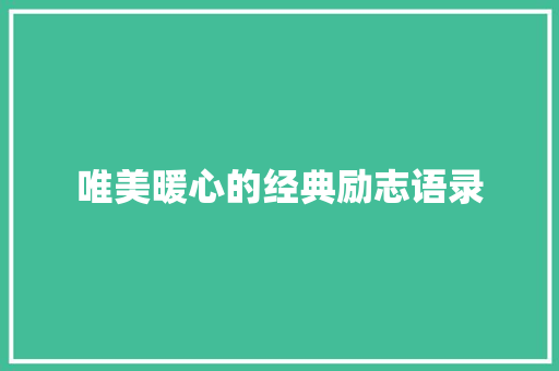 唯美暖心的经典励志语录 范文赏析