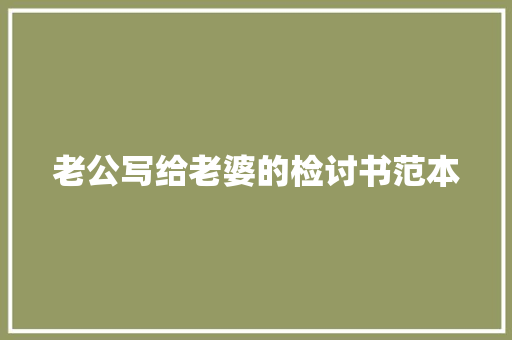 老公写给老婆的检讨书范本 写作素材