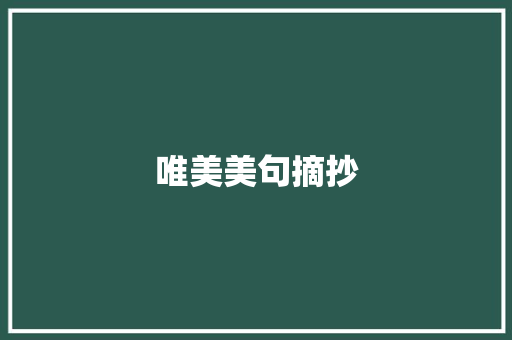 唯美美句摘抄 词汇积累