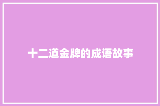 十二道金牌的成语故事 报告写作