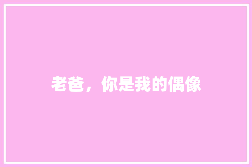 老爸，你是我的偶像 报告写作