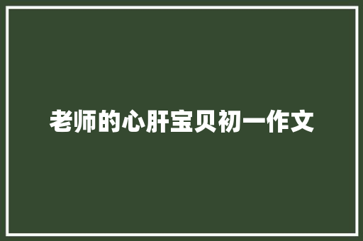 老师的心肝宝贝初一作文 商业文案