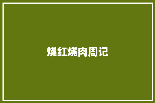 烧红烧肉周记 简历模板