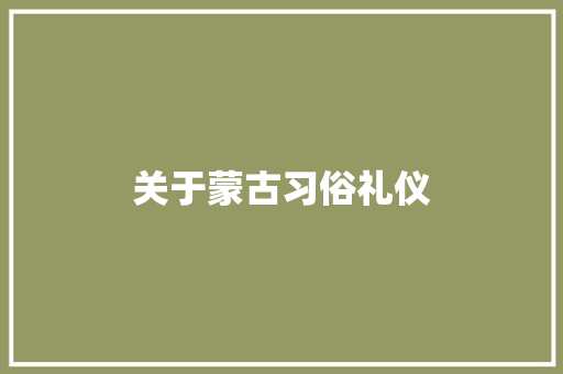关于蒙古习俗礼仪 词汇积累