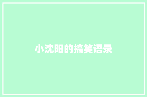 小沈阳的搞笑语录