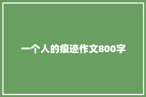 一个人的痕迹作文800字 报告写作