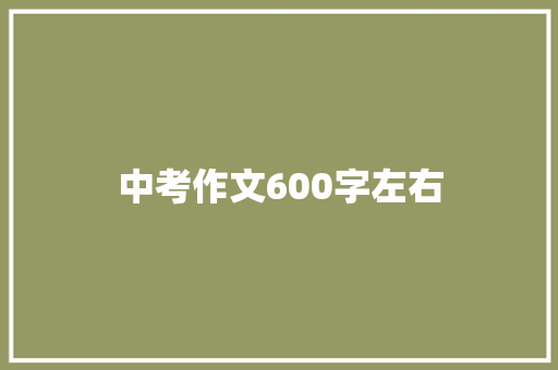 中考作文600字左右