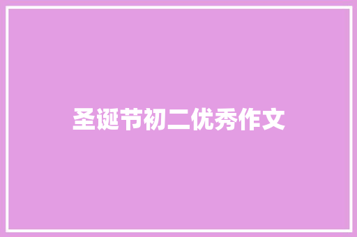 圣诞节初二优秀作文 简历模板