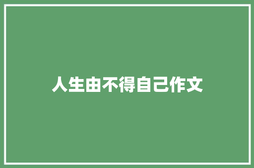 人生由不得自己作文 简历模板
