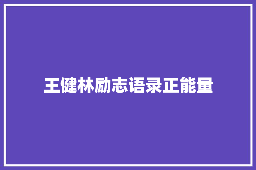 王健林励志语录正能量 词汇积累