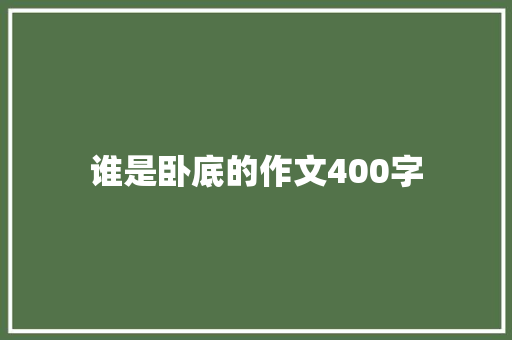 谁是卧底的作文400字 报告写作