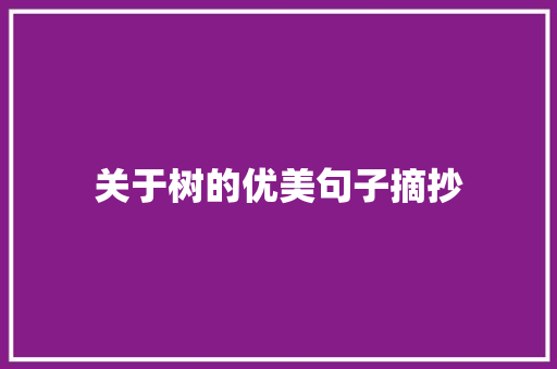 关于树的优美句子摘抄 商业文案