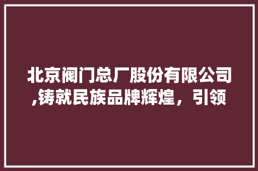 北京阀门总厂股份有限公司,铸就民族品牌辉煌，引领阀门行业创新发展_北京阀门总厂股份有限公司 简历模板