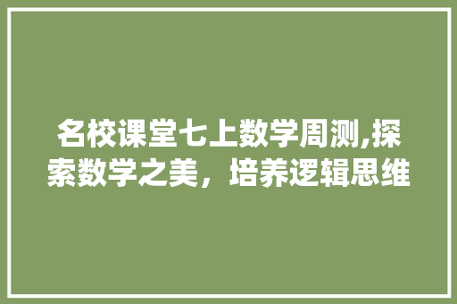 名校课堂七上数学周测,探索数学之美，培养逻辑思维_名校课堂七上数学周测小卷 简历模板