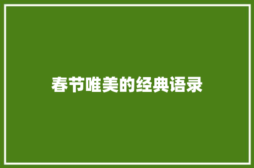 春节唯美的经典语录